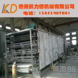 食品销售行业的高效助手 大型网带式干燥机厂家直销