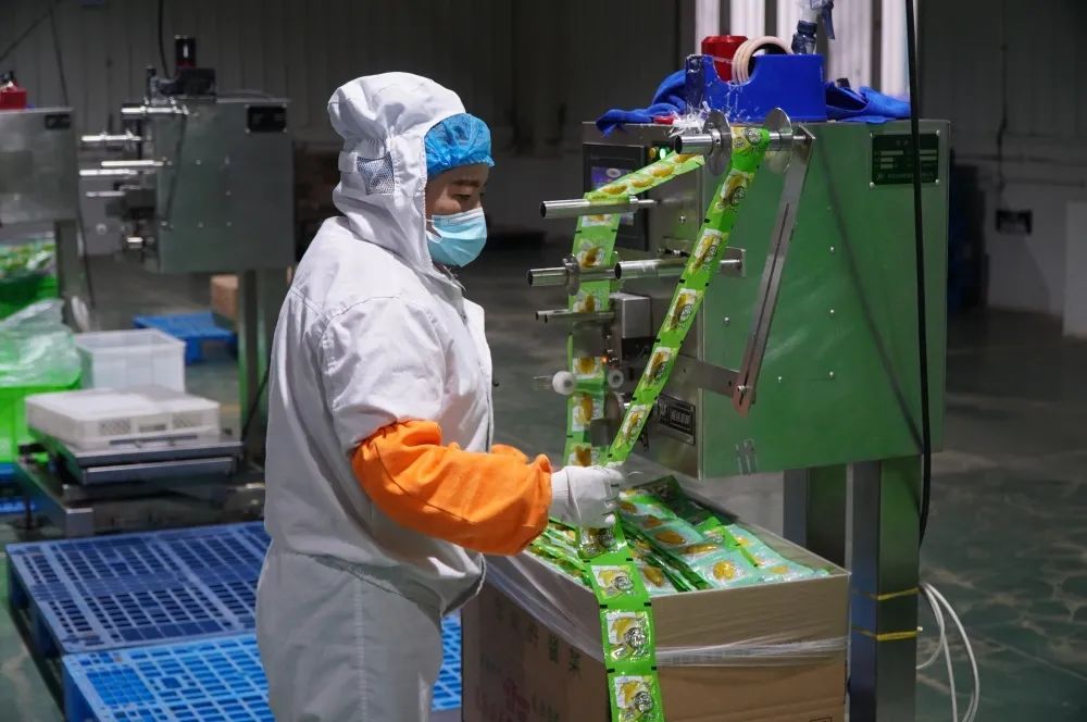 建水抗疫复产双线发力 食品企业开启“加速跑” 抢抓销售“开门红”